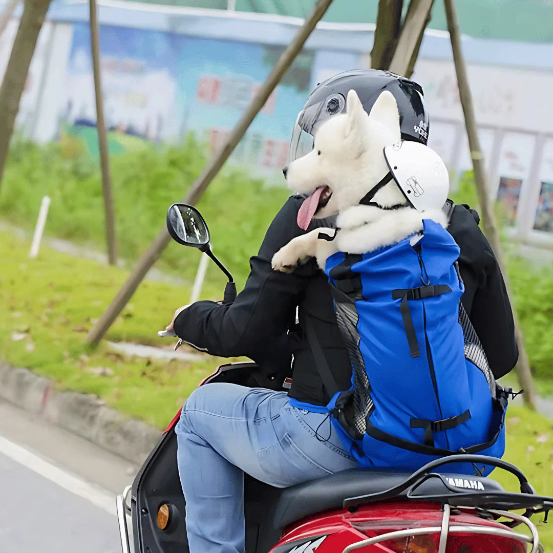 Adventure Dog Travel Backpack