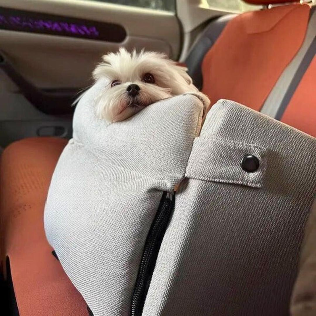 Premium Pet Travel Accessories