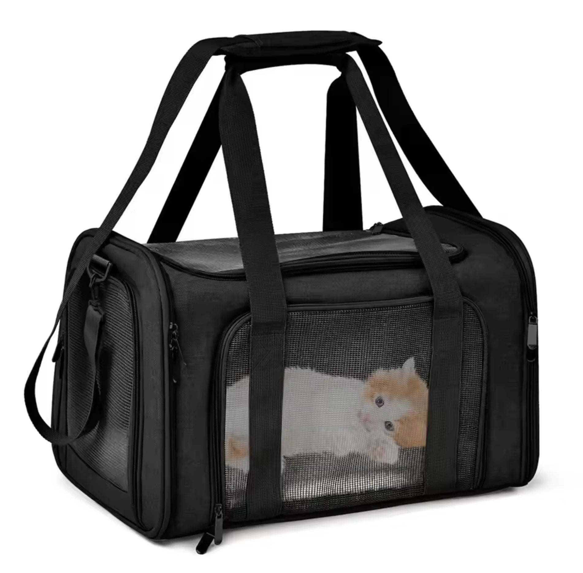 Airline Approved Travel Pet Carrier