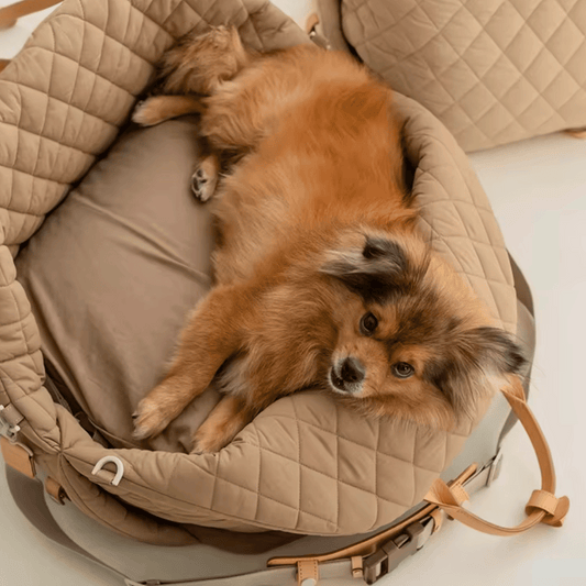 Cozy Pet Travel Booster Seat - Yappyboo 
