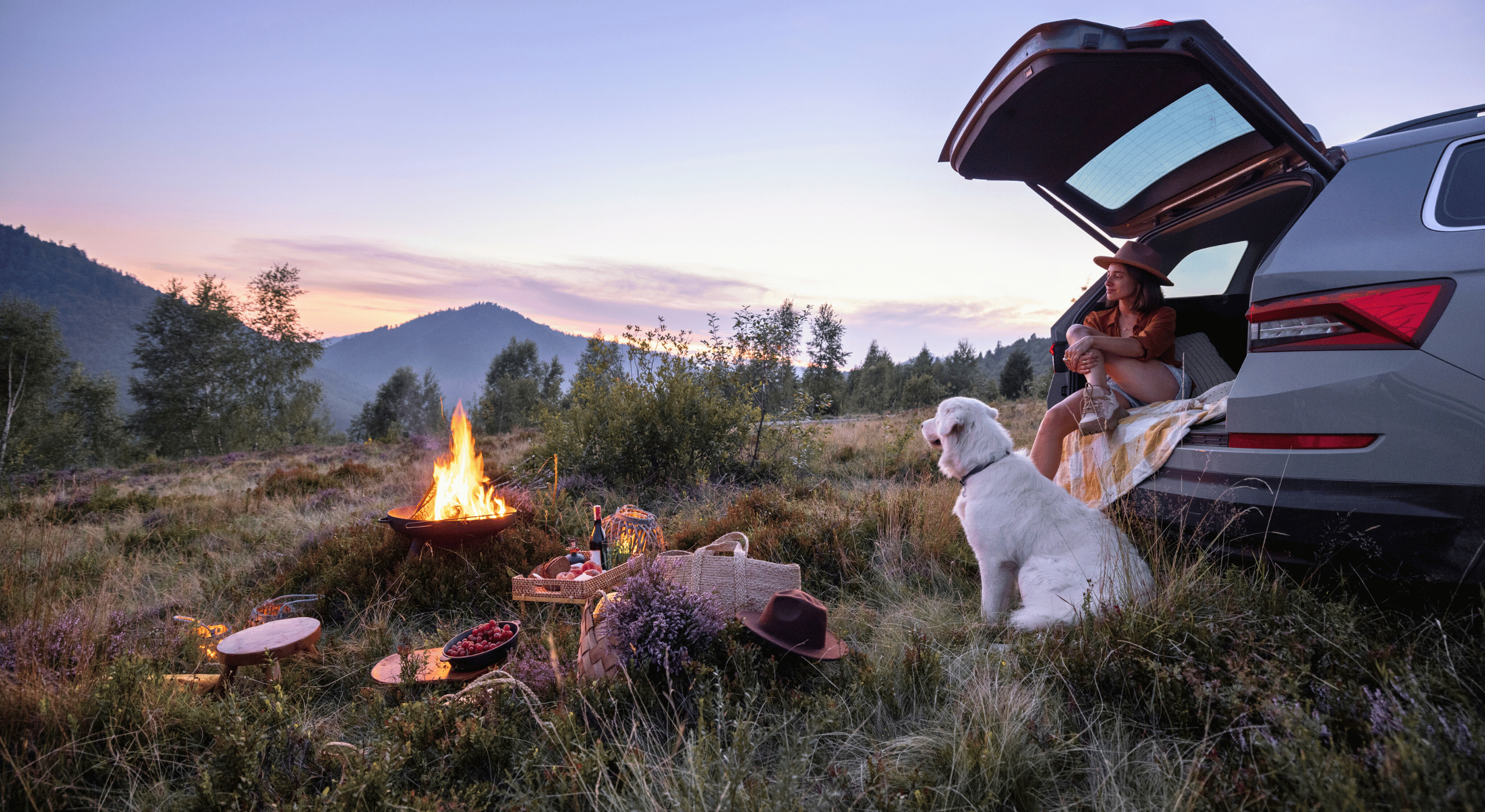 Premium Pet Travel Accessories