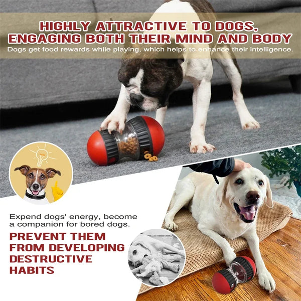 Balle pour chien Smart Play