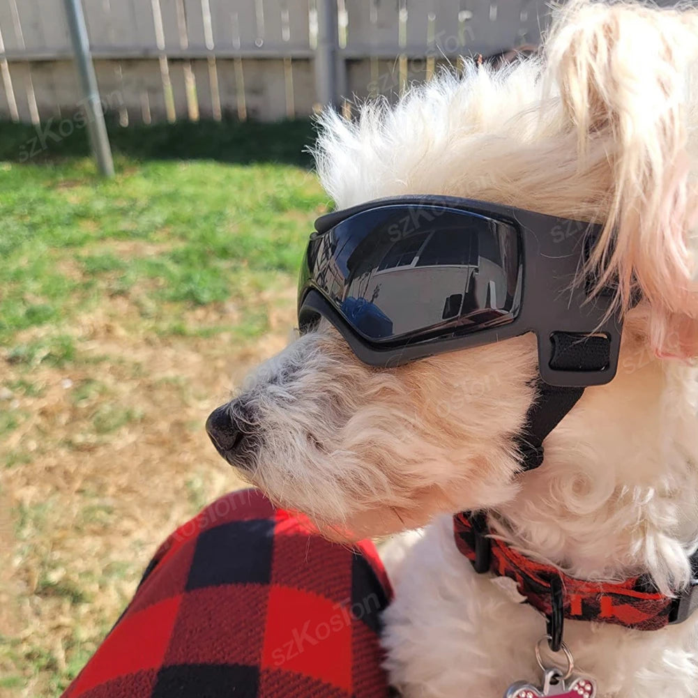 Gafas de aventura Pup Shield